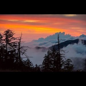 Meet your Posher, Britt